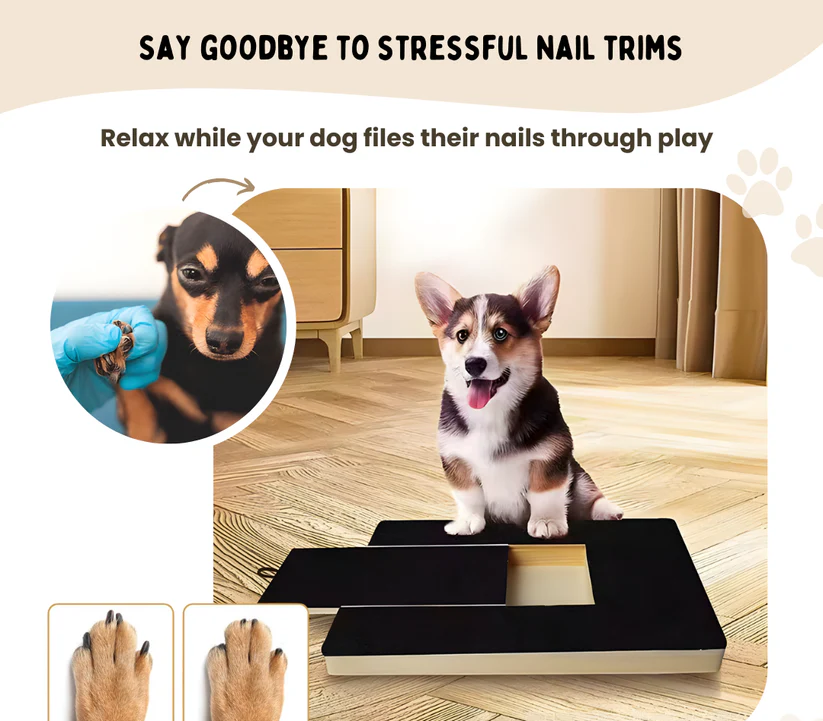 DogTrimâą | Stresszmentes KörömreszelĆ Deszka